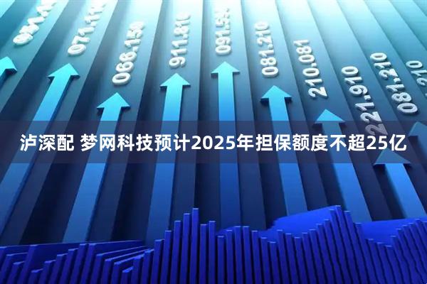 泸深配 梦网科技预计2025年担保额度不超25亿