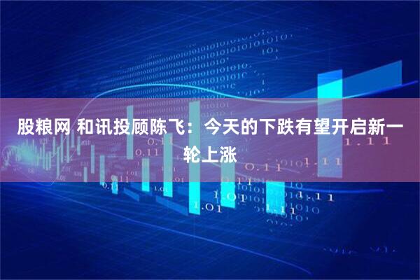 股粮网 和讯投顾陈飞：今天的下跌有望开启新一轮上涨