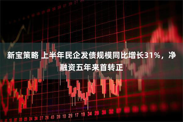 新宝策略 上半年民企发债规模同比增长31%，净融资五年来首转正