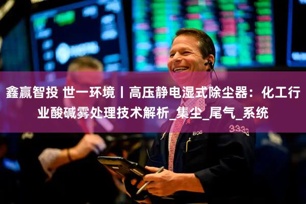 鑫赢智投 世一环境丨高压静电湿式除尘器：化工行业酸碱雾处理技术解析_集尘_尾气_系统