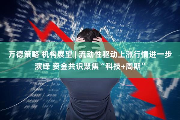 万德策略 机构展望 | 流动性驱动上涨行情进一步演绎 资金共识聚焦“科技+周期”