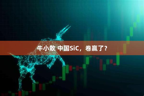 牛小散 中国SiC，卷赢了？