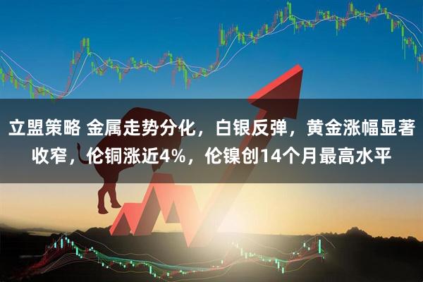 立盟策略 金属走势分化，白银反弹，黄金涨幅显著收窄，伦铜涨近4%，伦镍创14个月最高水平